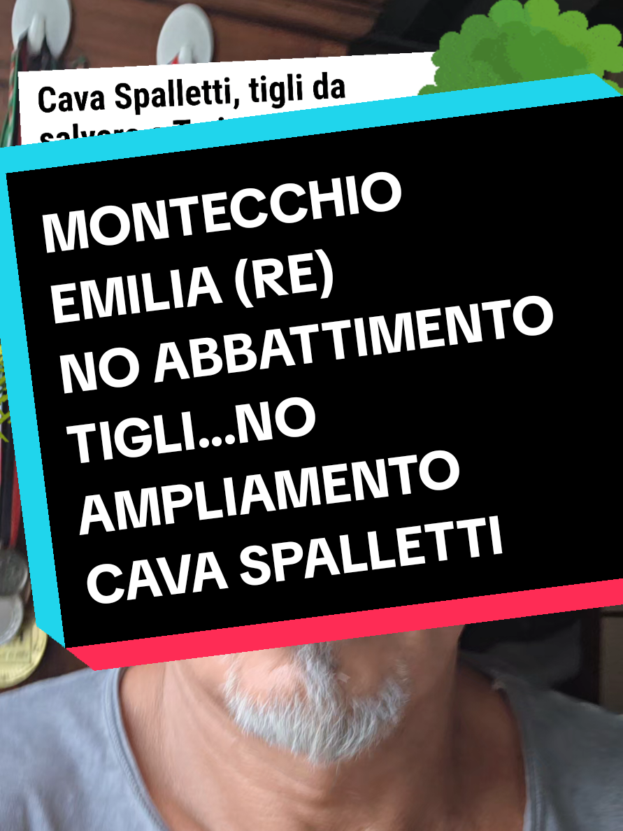 @Cristian Carbognani