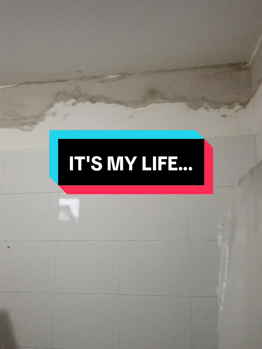 @👷🏼♂️i Muratori di TikTok 🍻