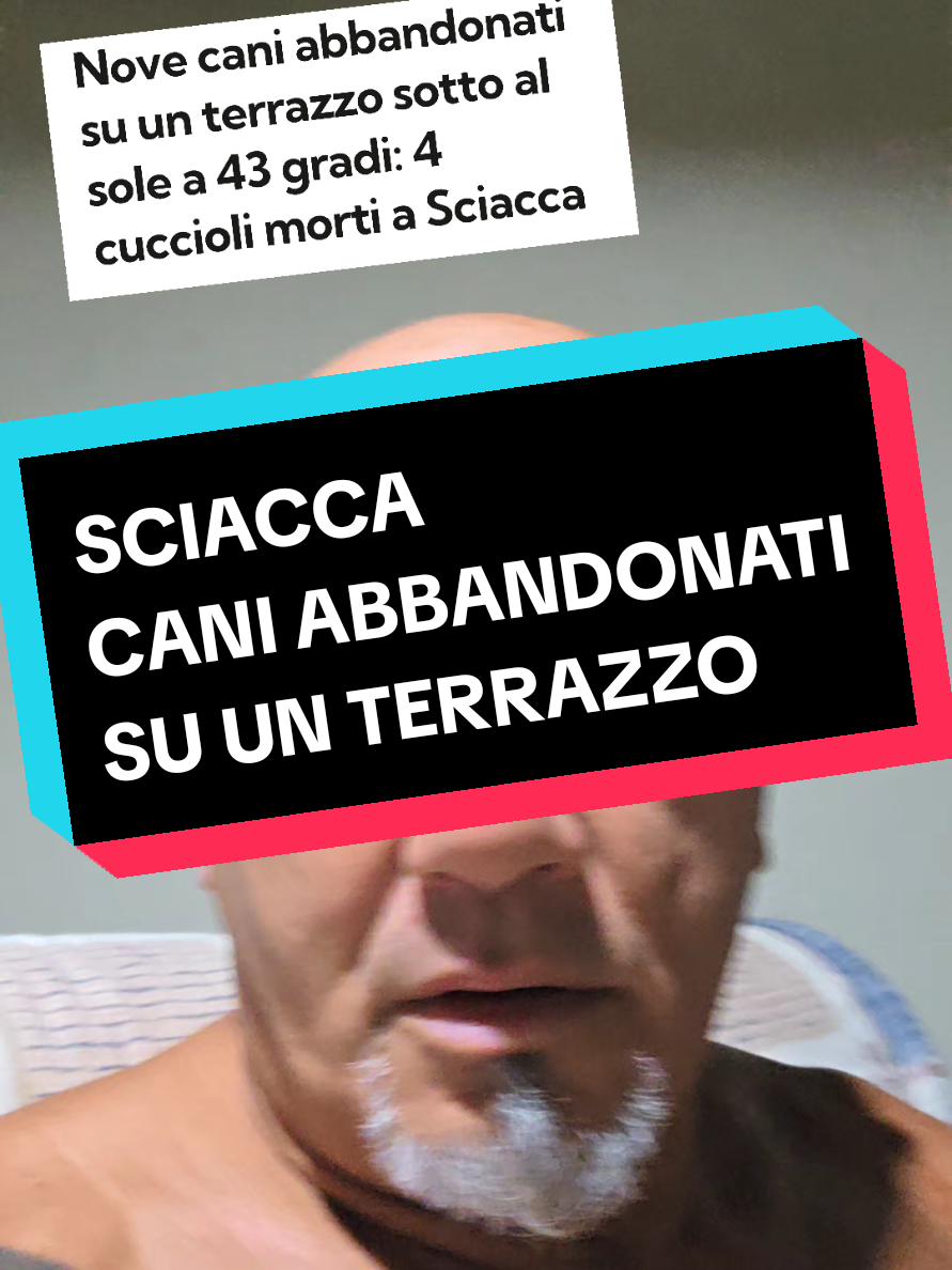 @Cristian Carbognani