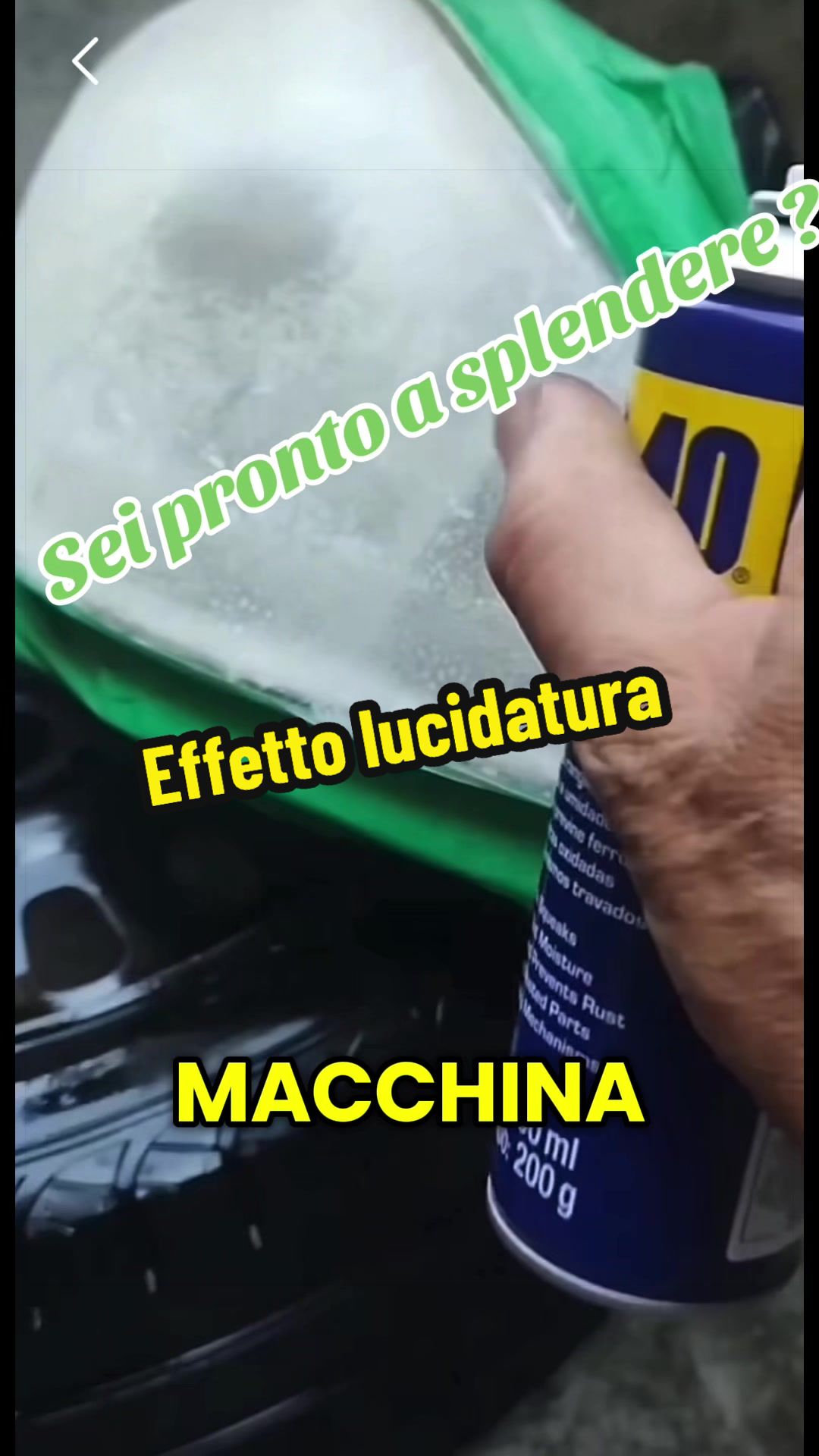 @Alessandro Cuomo ♌️
