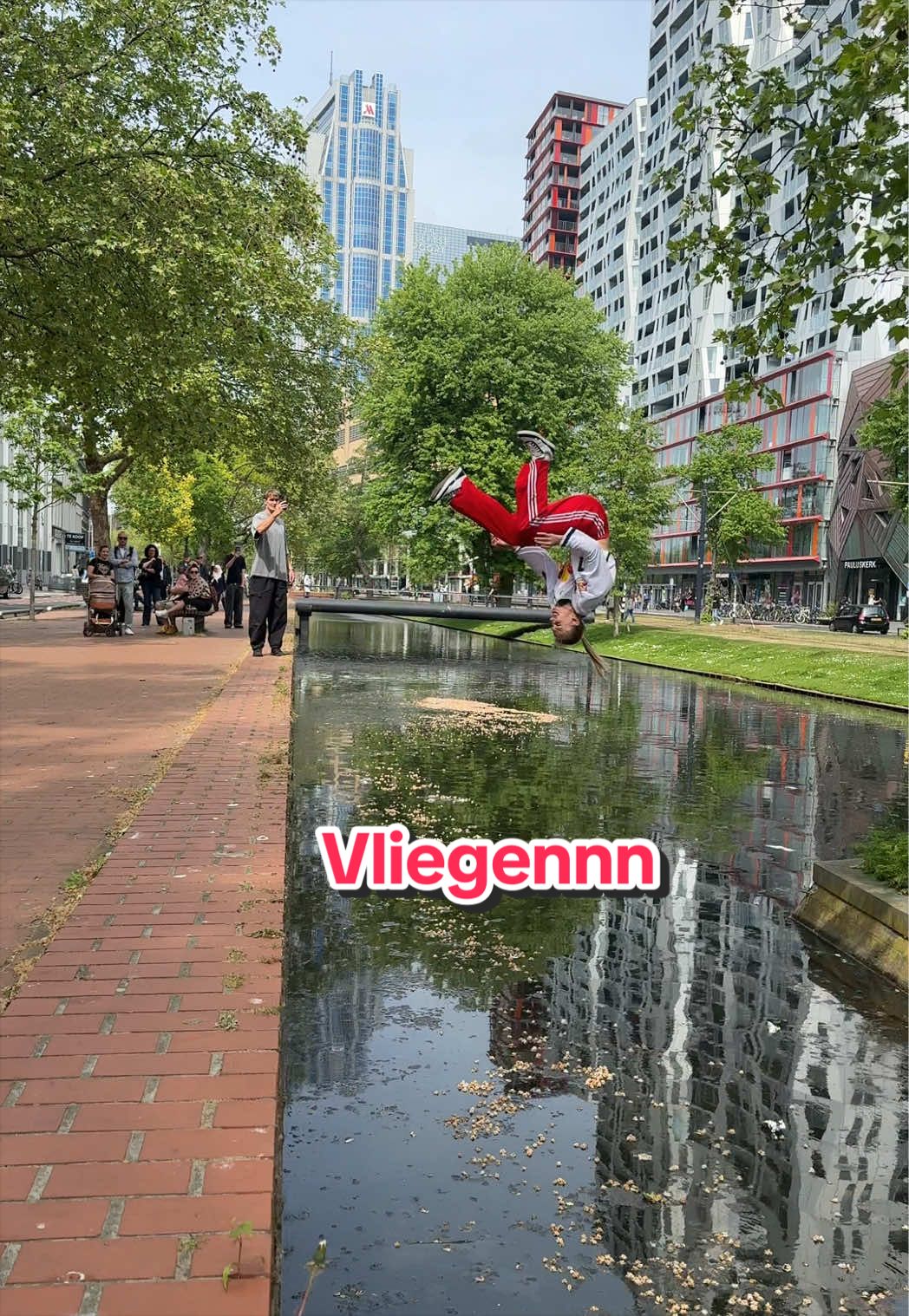 @noa_diorgina