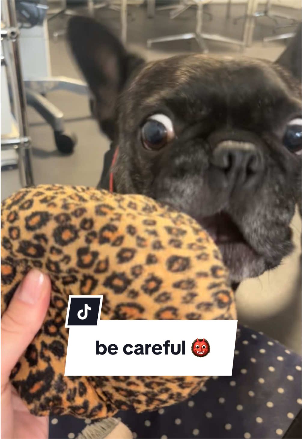 @Oscar ๐๐
๐