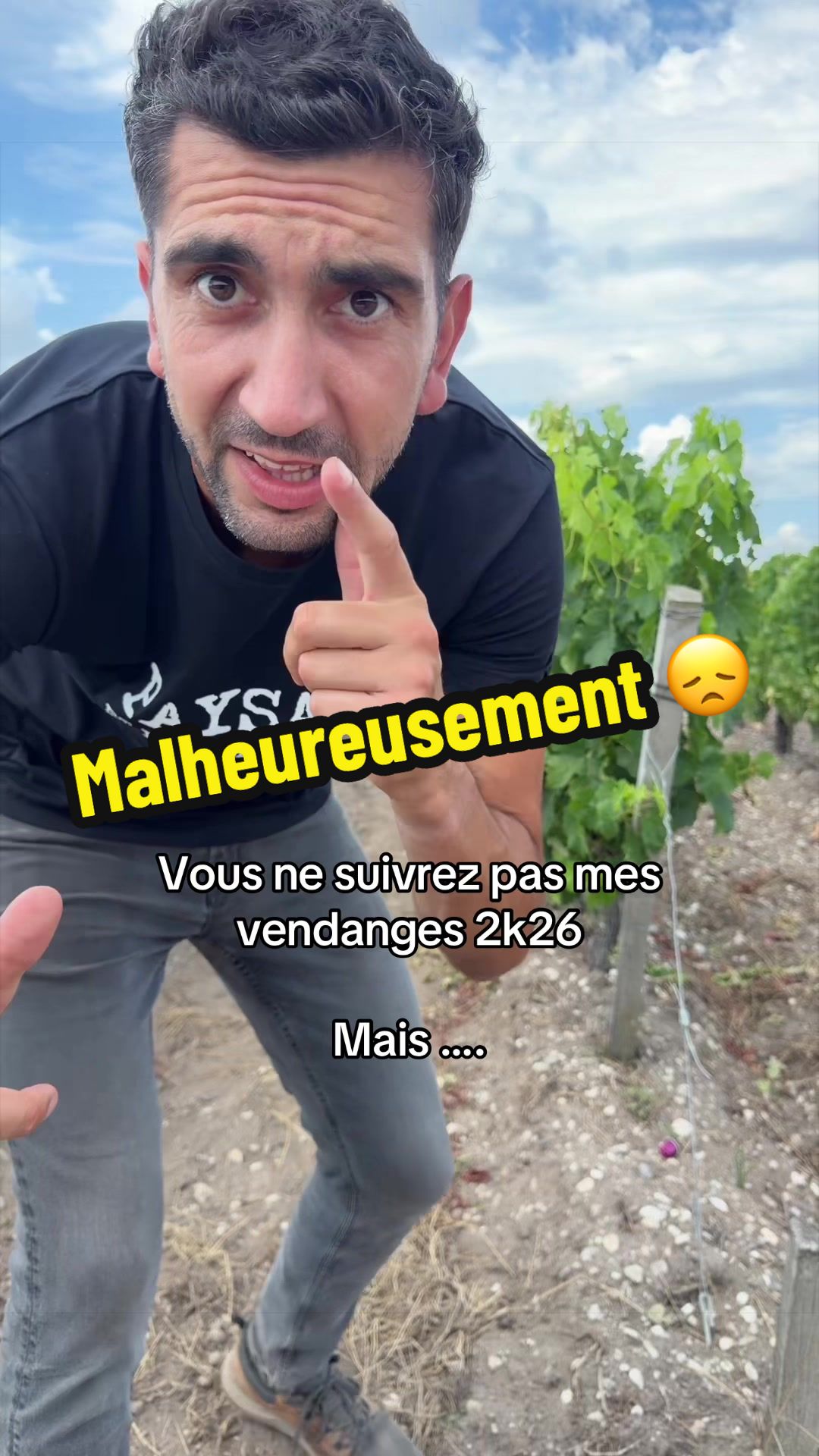@Le.Viticulteur 🍇🍷🚀