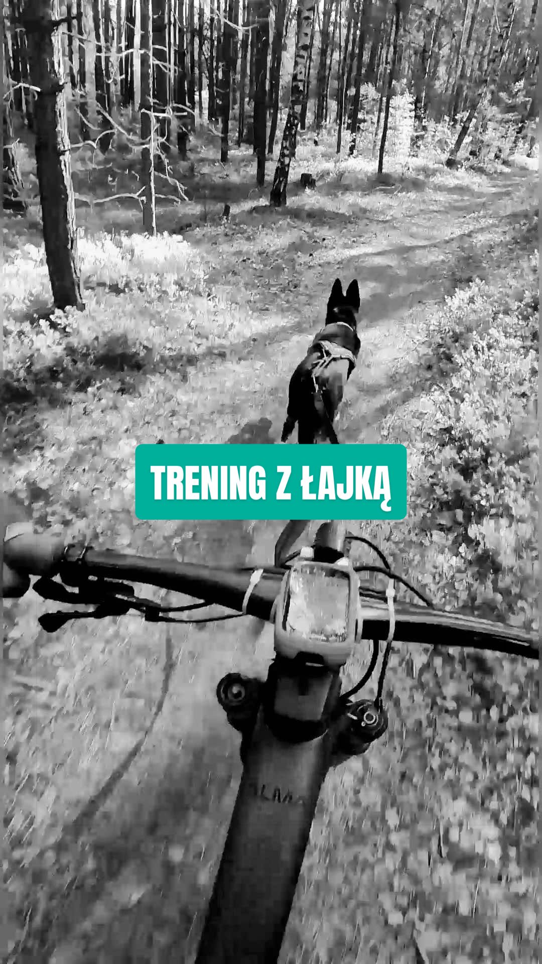 @Agnieszka Ignaszak bikejoring