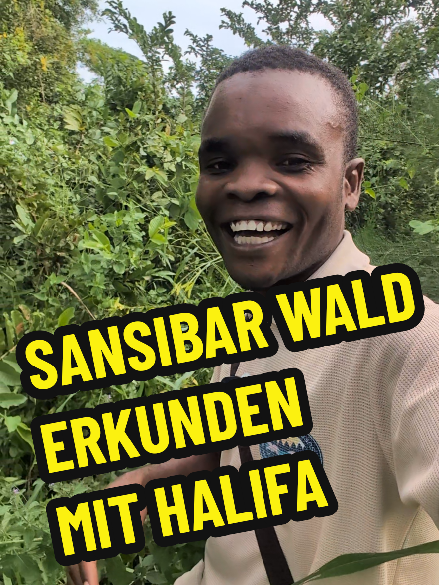 @Sonnenscheintour Sansibar