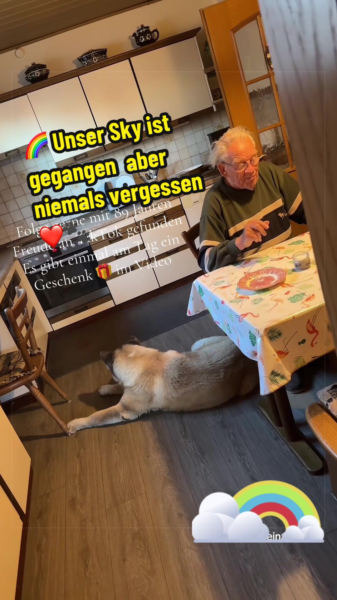 @tiktokheinz