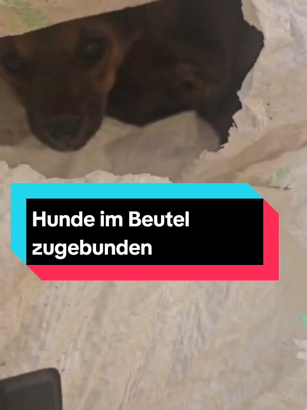 @Sevi