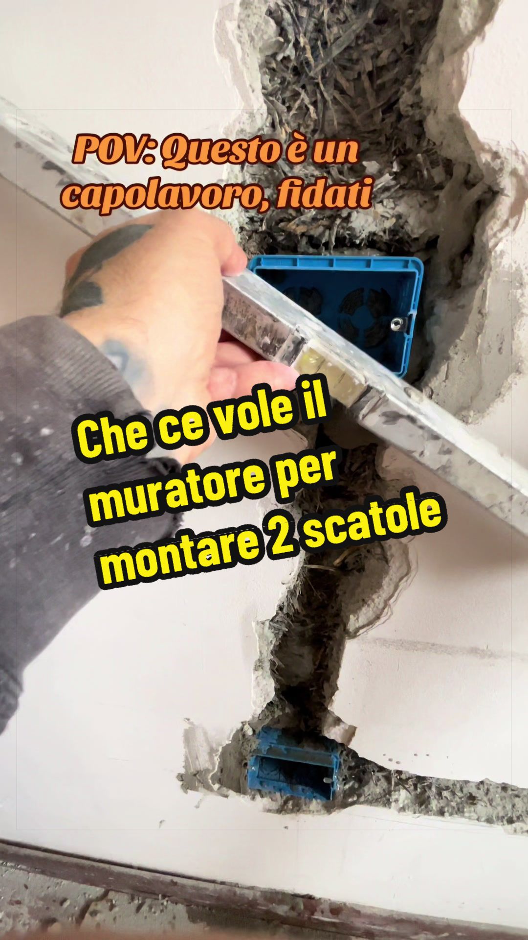 @Alessandro Cuomo ♌️