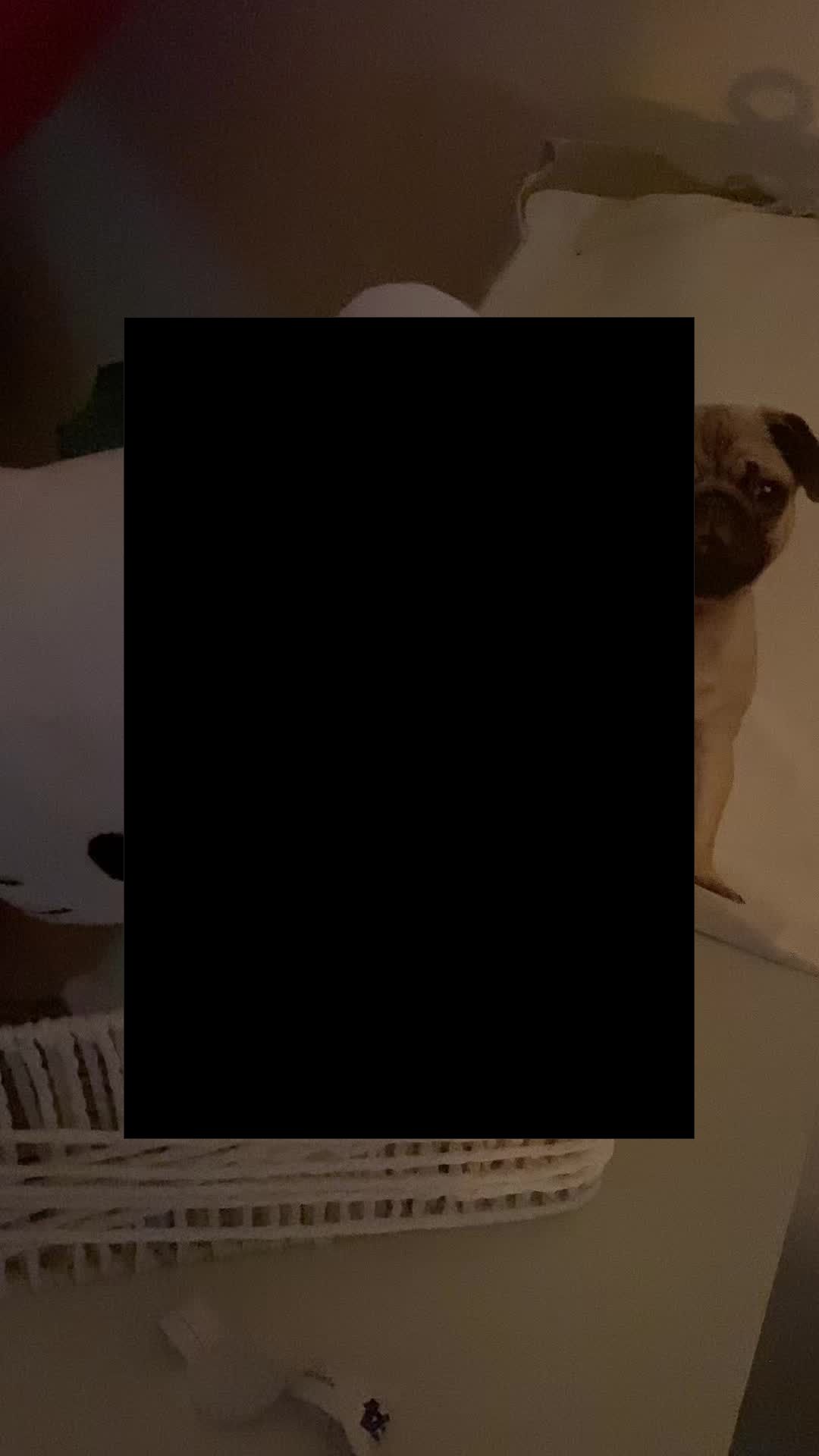 @ka