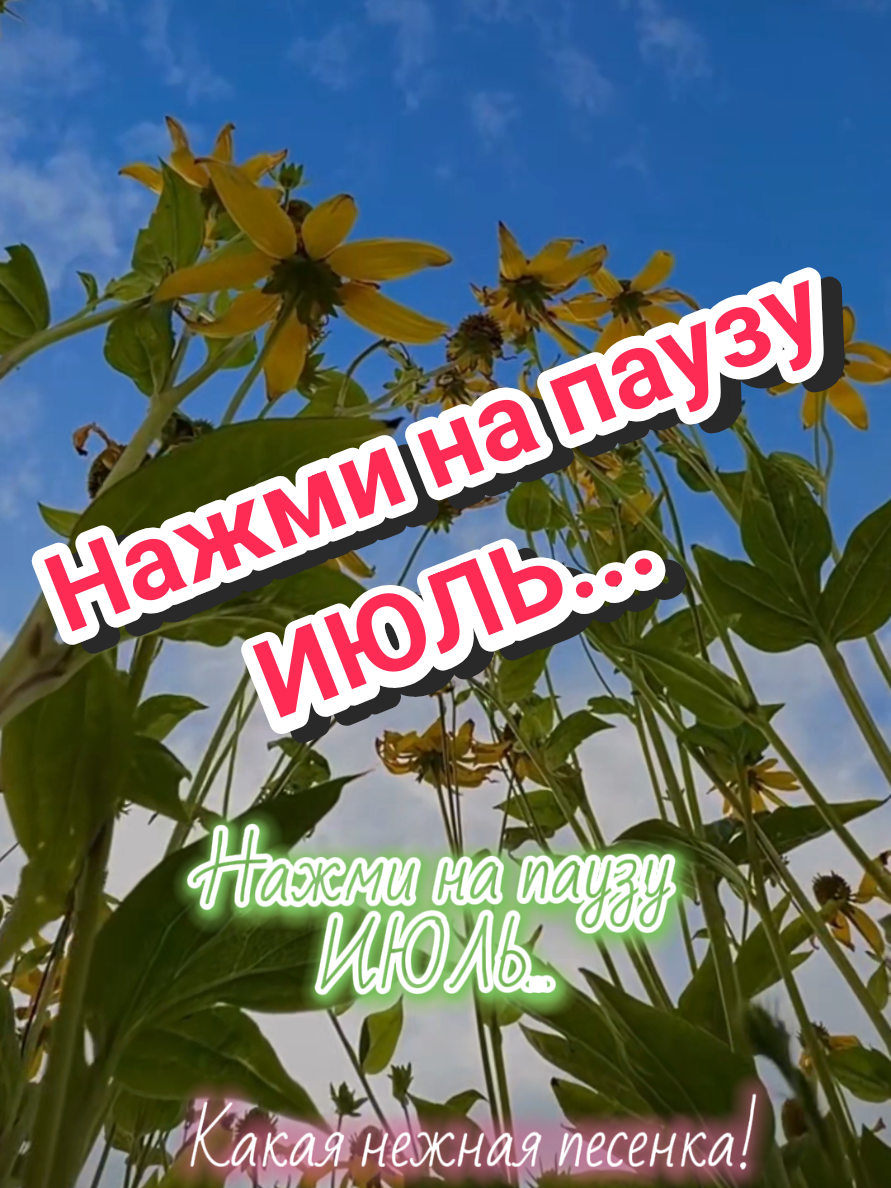 @✨Елена✨