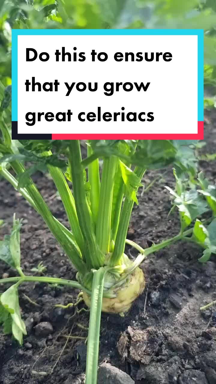 @GrowFruitandVeg