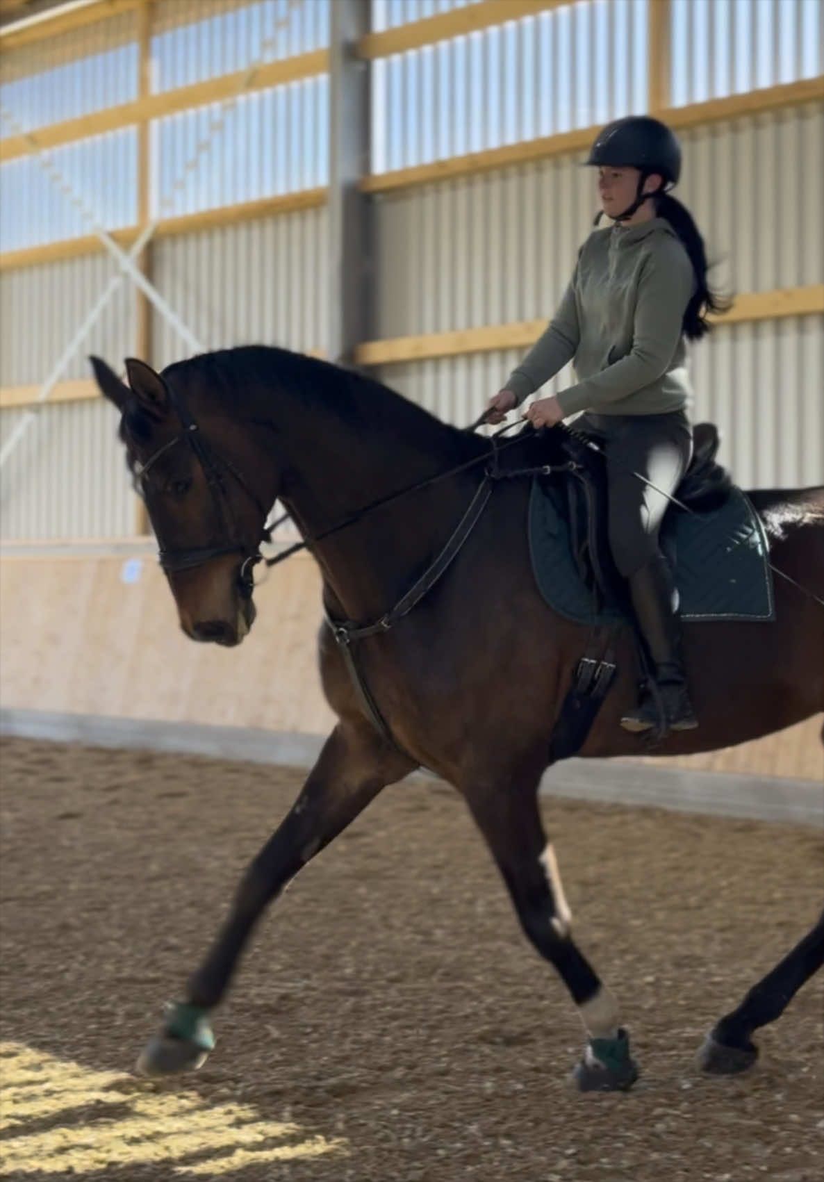 @annalisa.equestrian