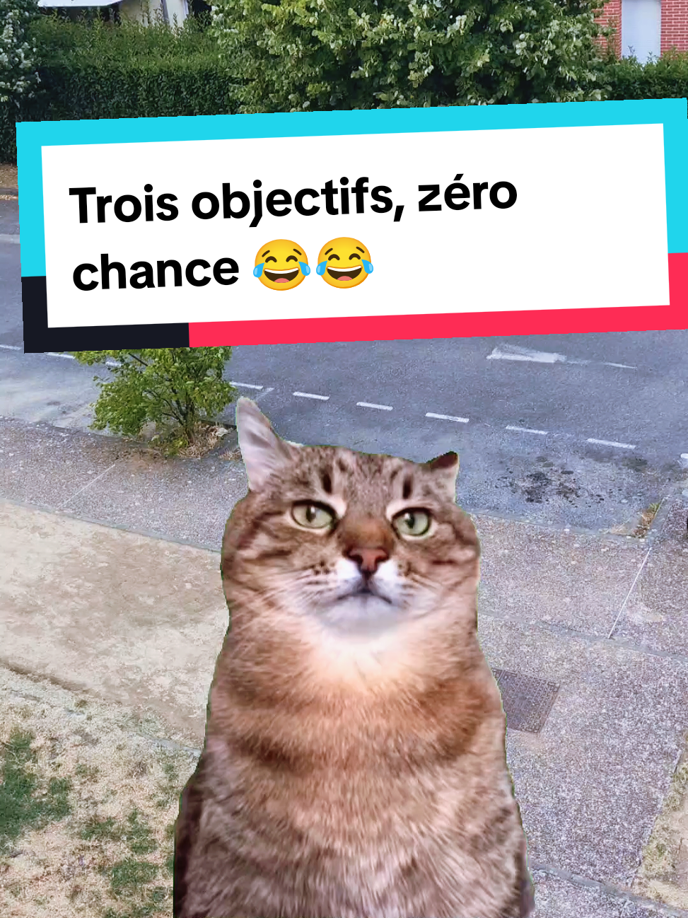 @𝘼𝙣𝙞𝙢𝙖𝙡𝙑𝙞𝙗𝙚