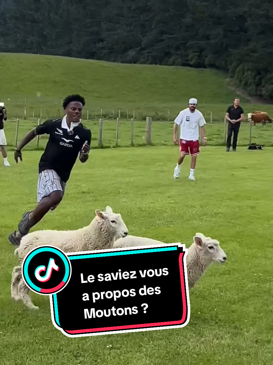 @TMFR 🇫🇷
