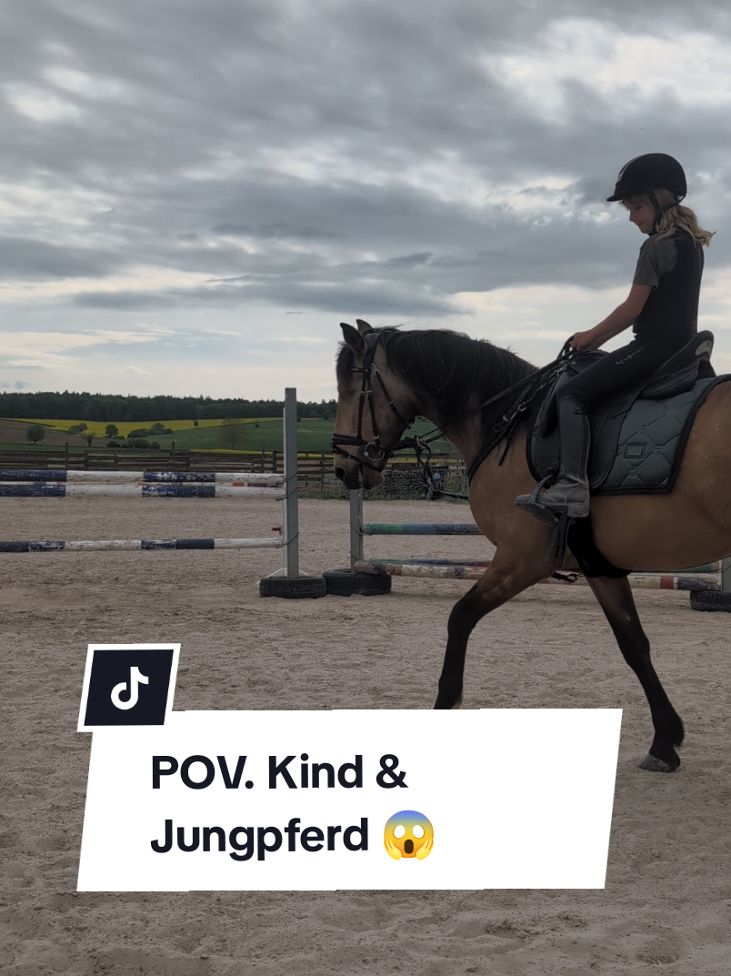 @Caro_Sofie_Offenstallliebe