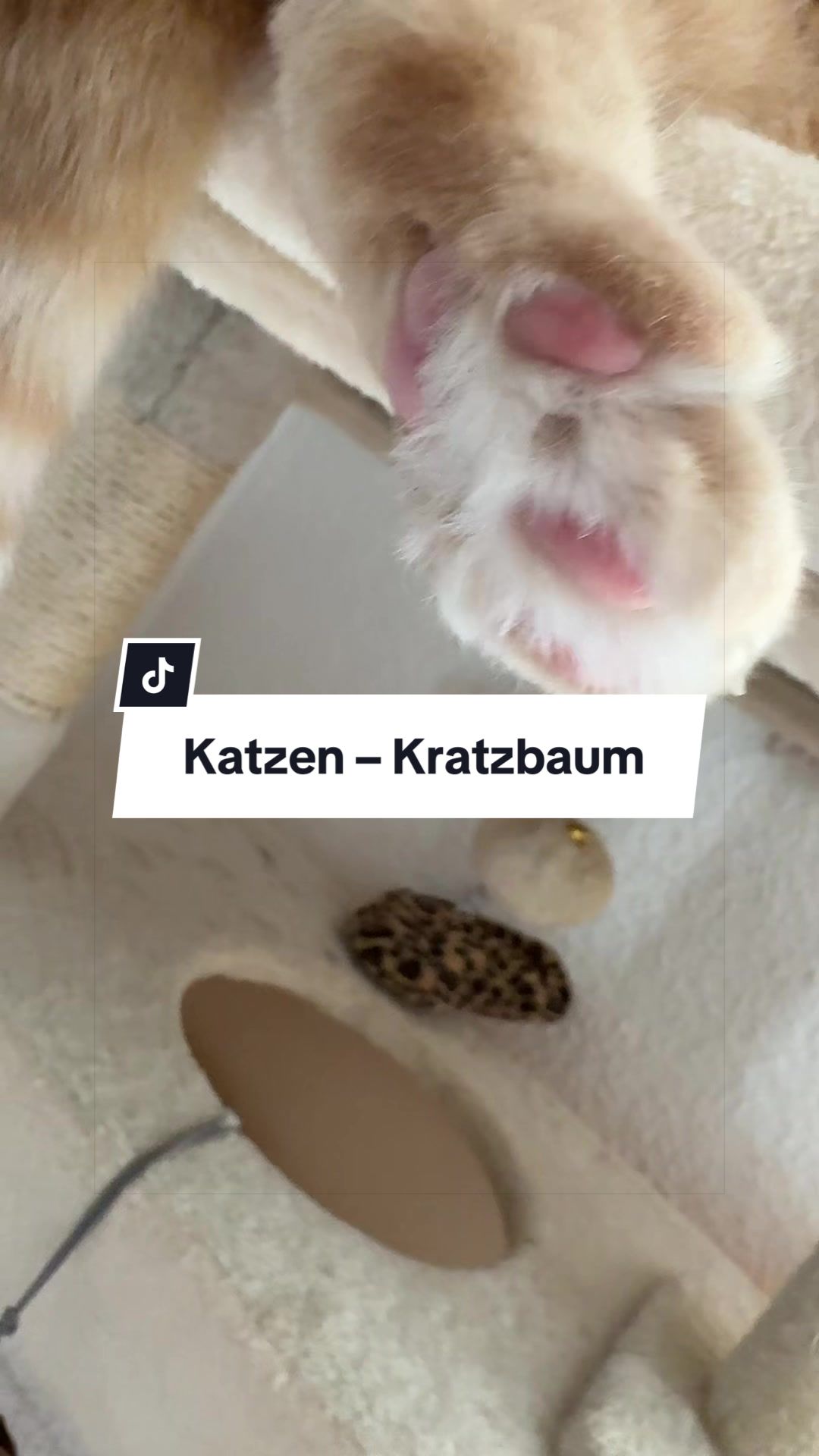 @Nataschas Lieblingsstücke 🛍️✨