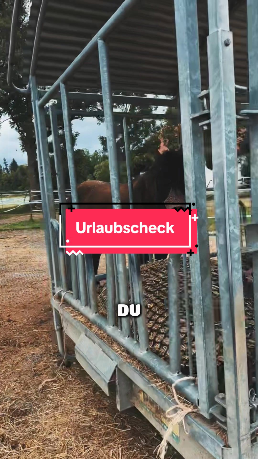 @Annibenschi