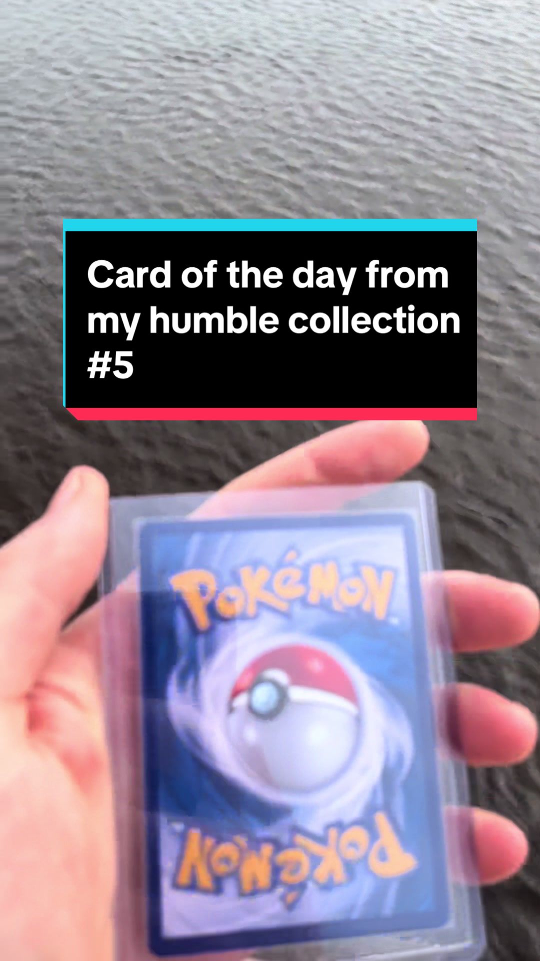 @Hunter x Pokemon