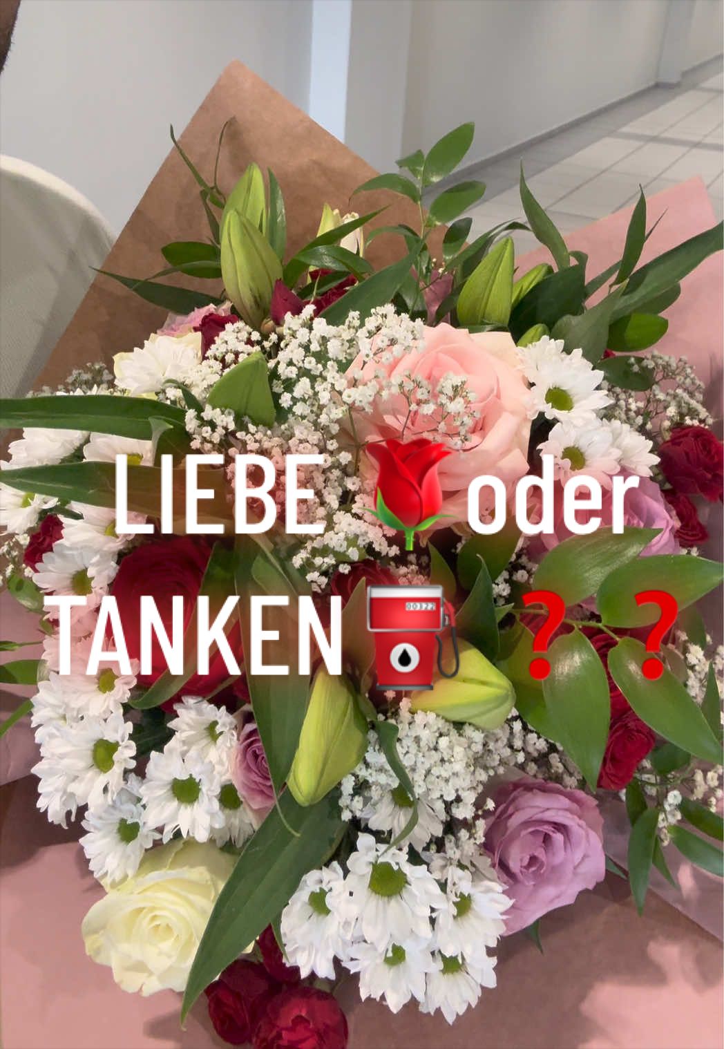@DerReisendeLehrer🇪🇸🇩🇪🇲🇦