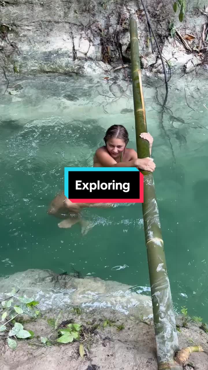 @Haidainlume 🌍