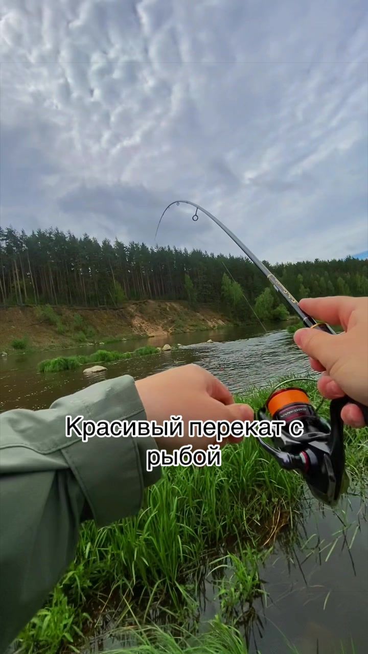 @Ace.fishing