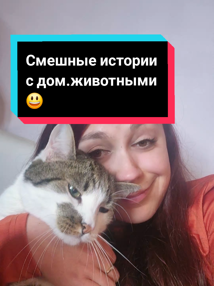 @ksematie