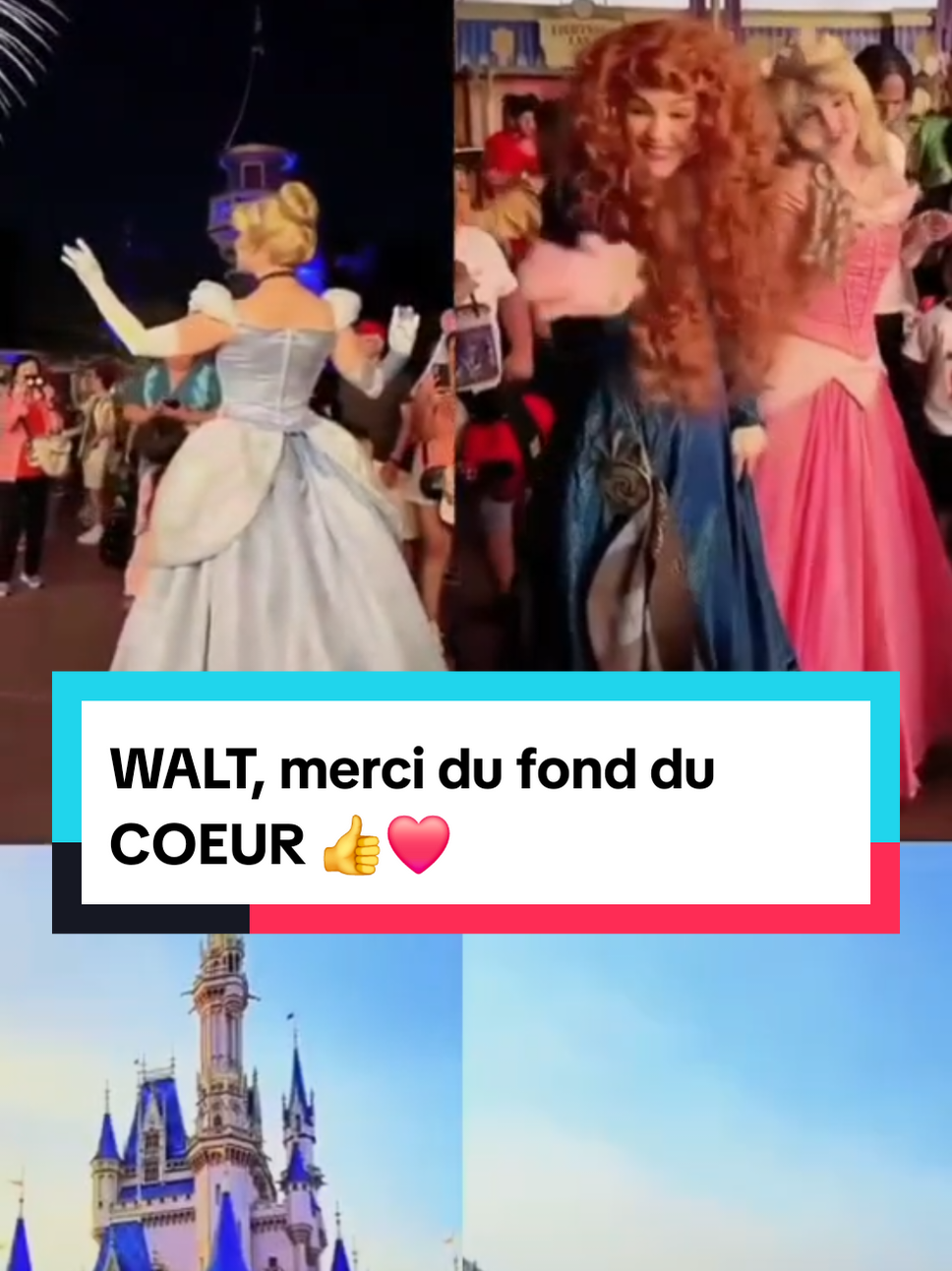 @Disneyparcs Herv&eacute;