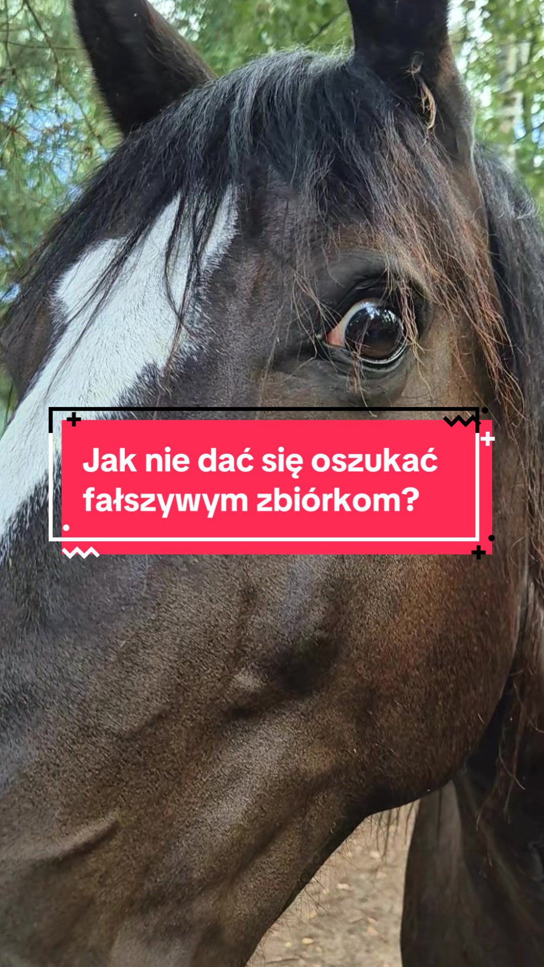 @Weronika Piasecka