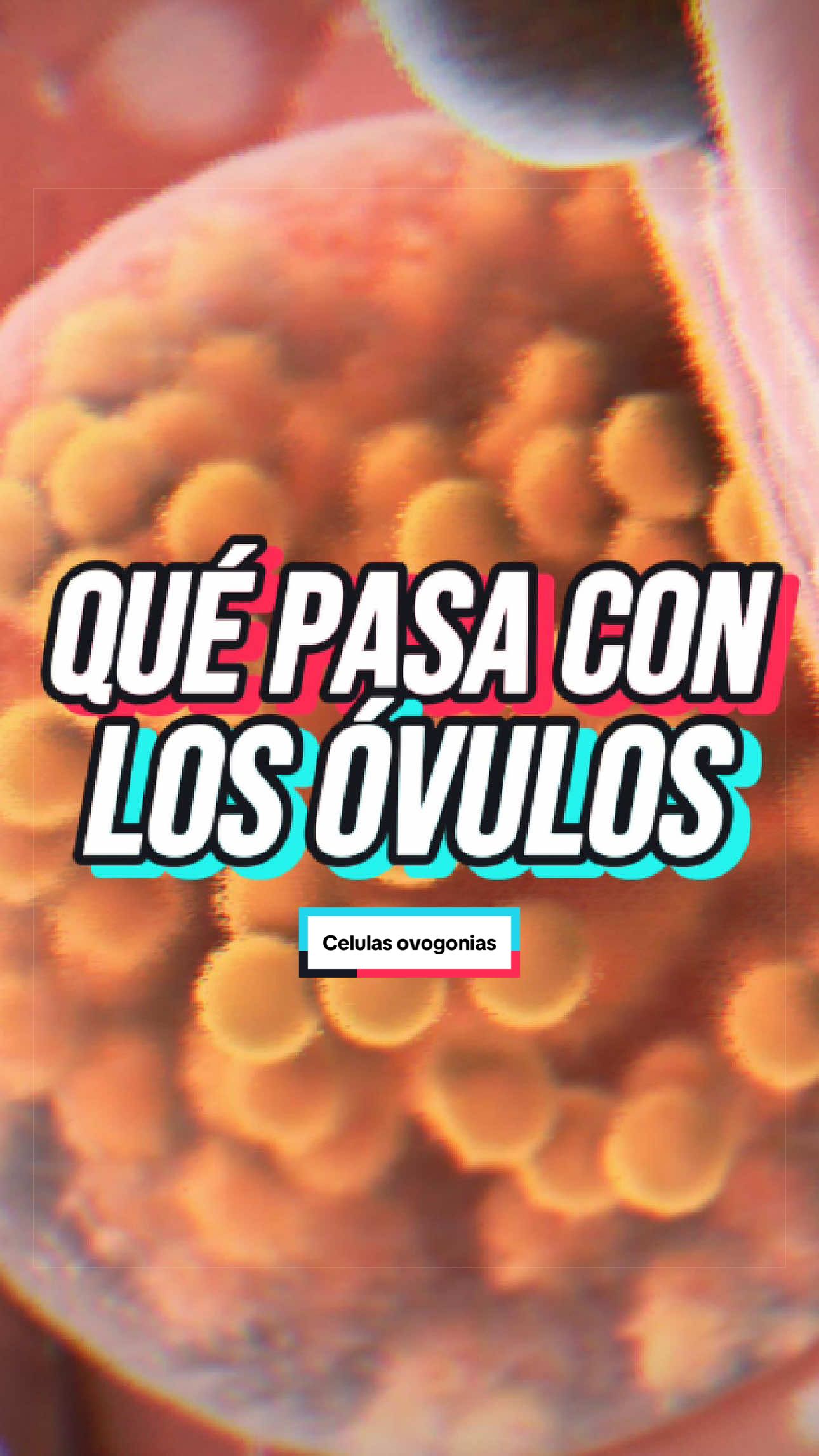 @ArchivoXtraño