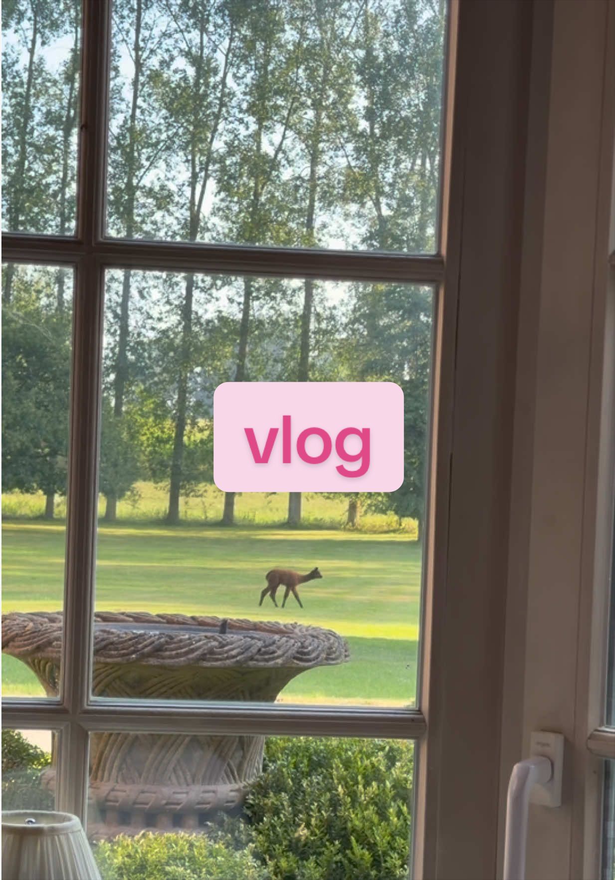 @Malina | ugc creator