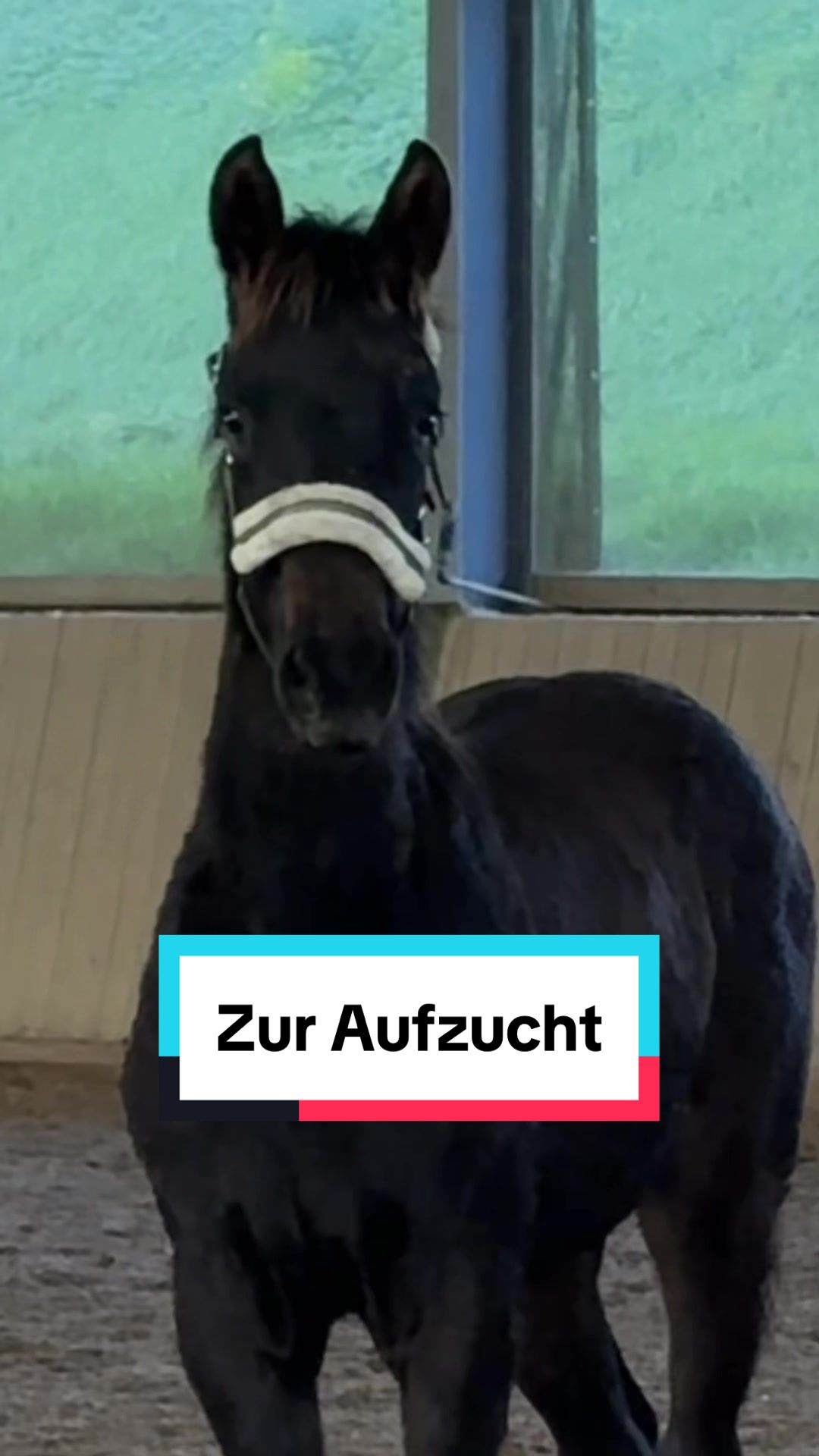@Christina Braunecker-Lang