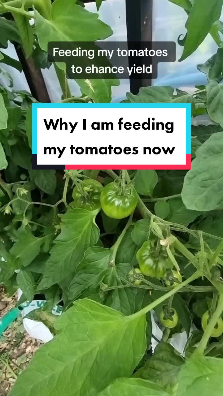 @GrowFruitandVeg