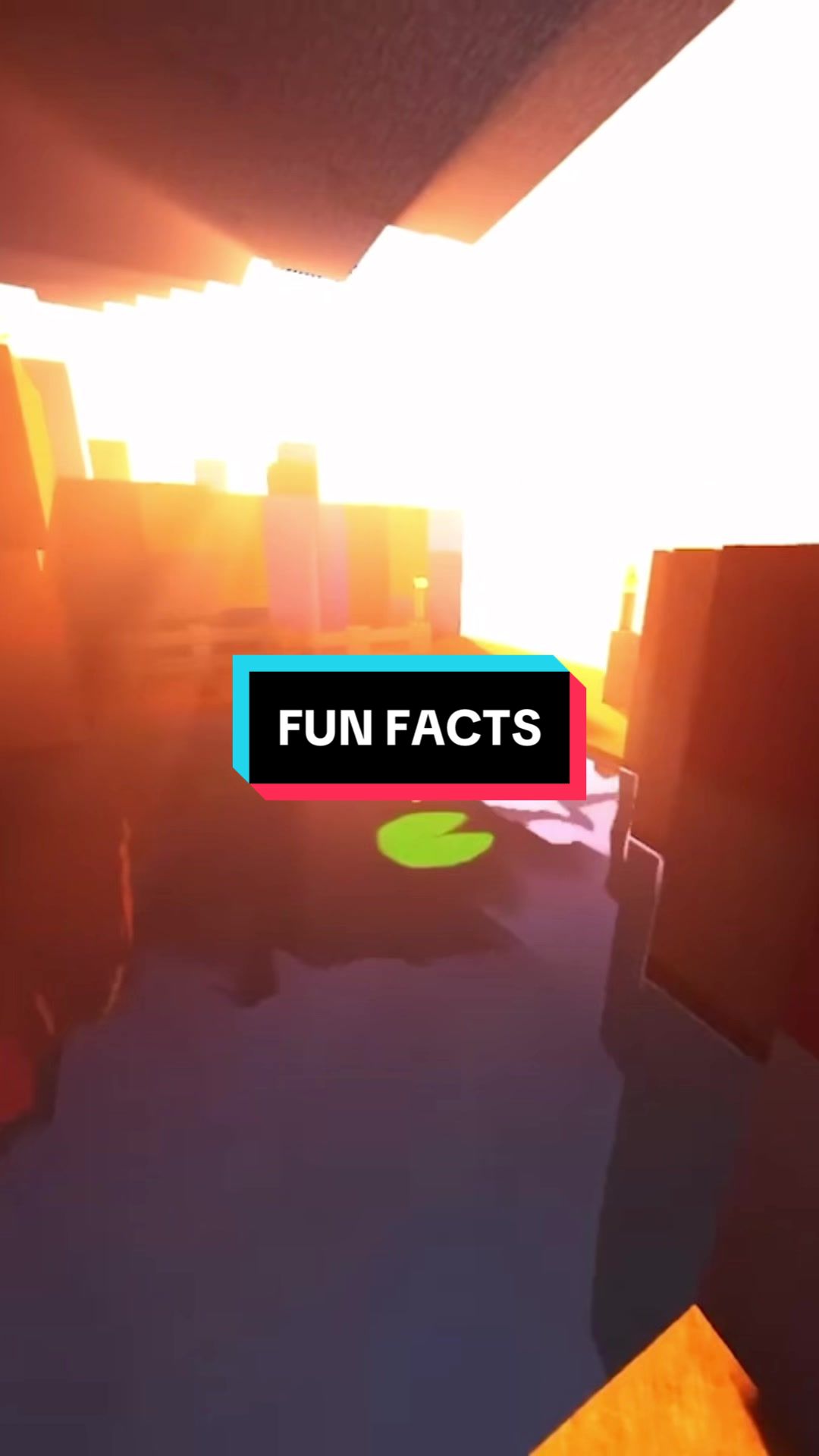 @randomamazingfunfacts