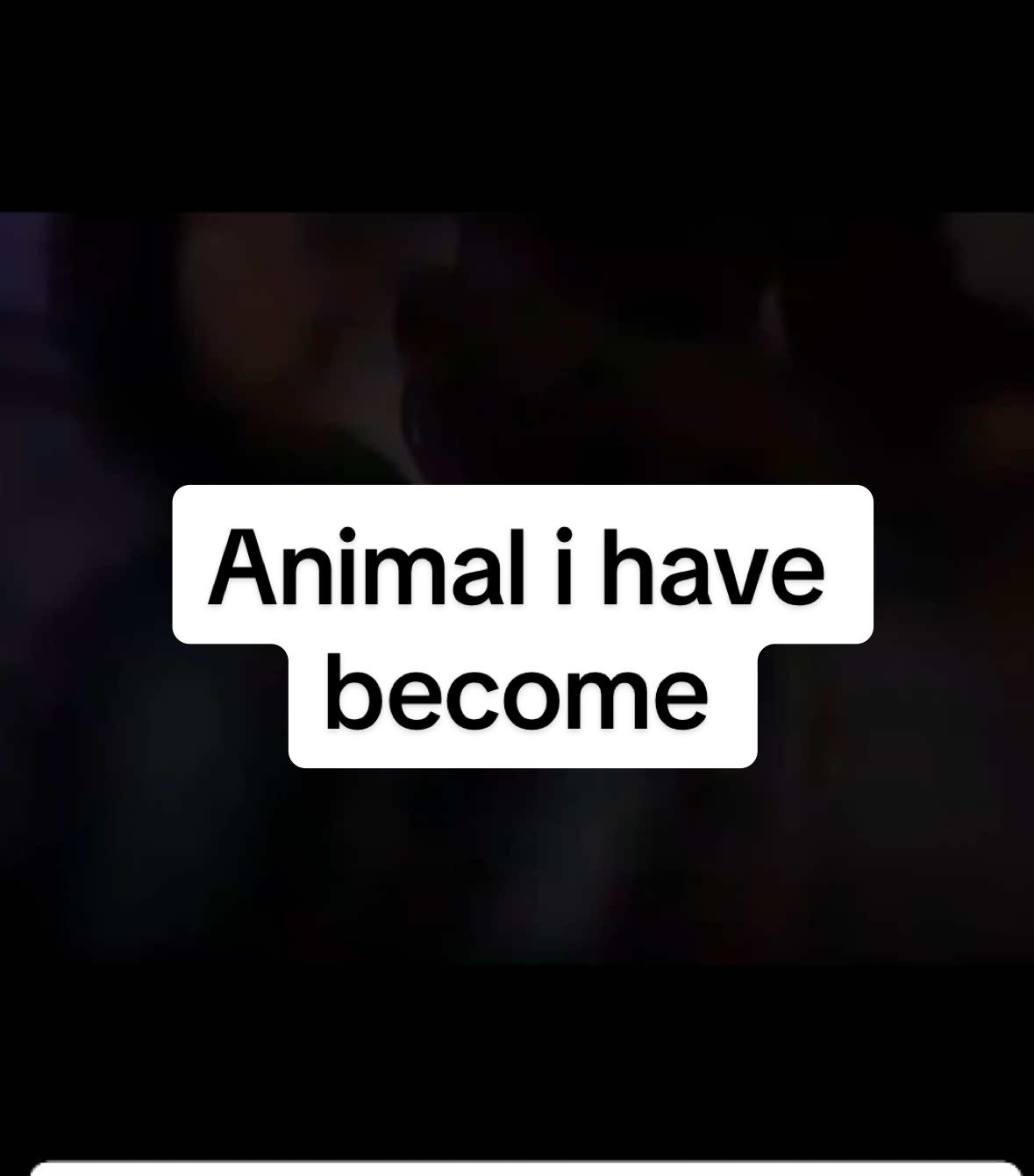 @🖤🗣ꪑꪖᦔᦔꪗ🎸☄