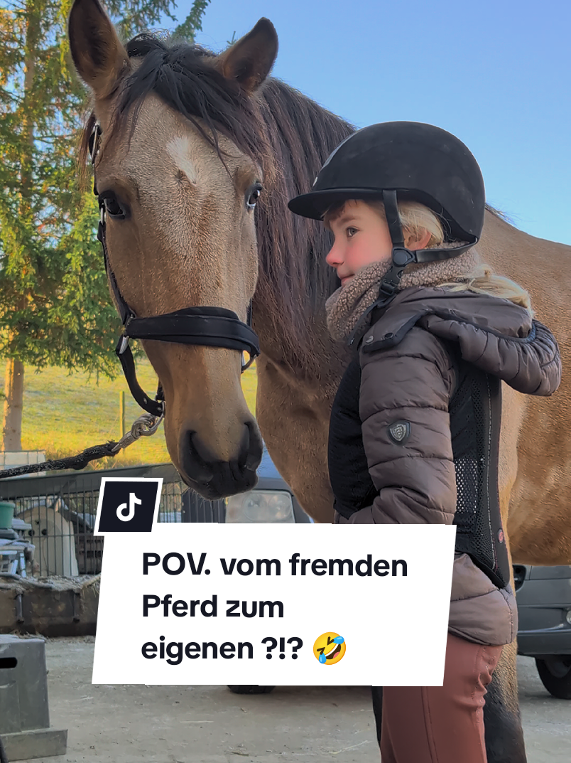 @Caro_Sofie_Offenstallliebe
