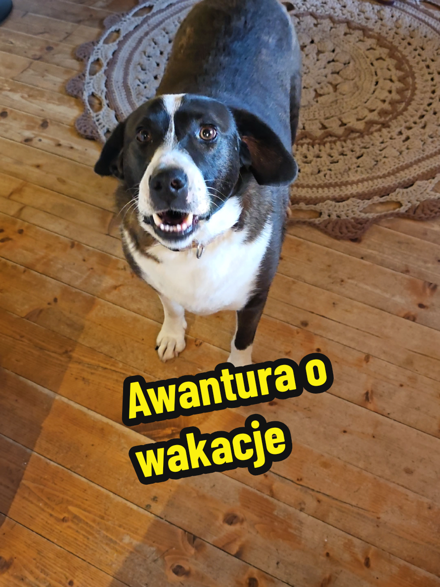 @Ania z Bieszczadzkiej Hecy🧀