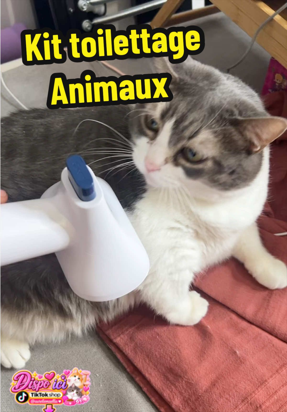 @Aurélie et Maellia