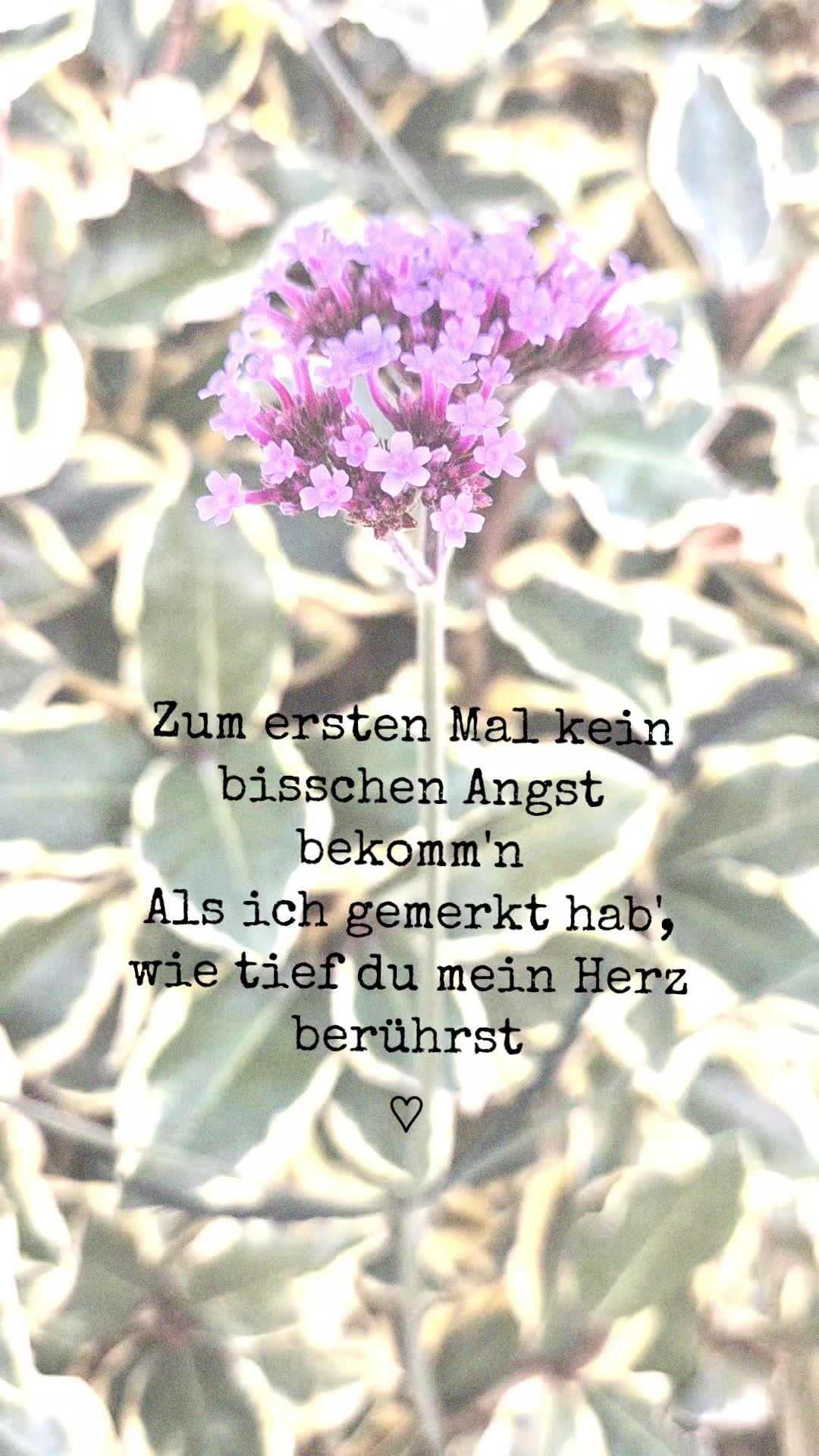 @Saskia
