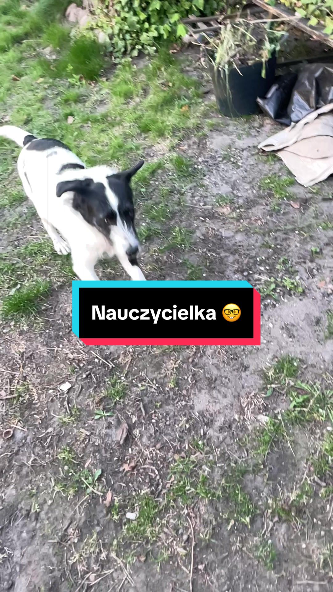 @KAZNODZIEJA