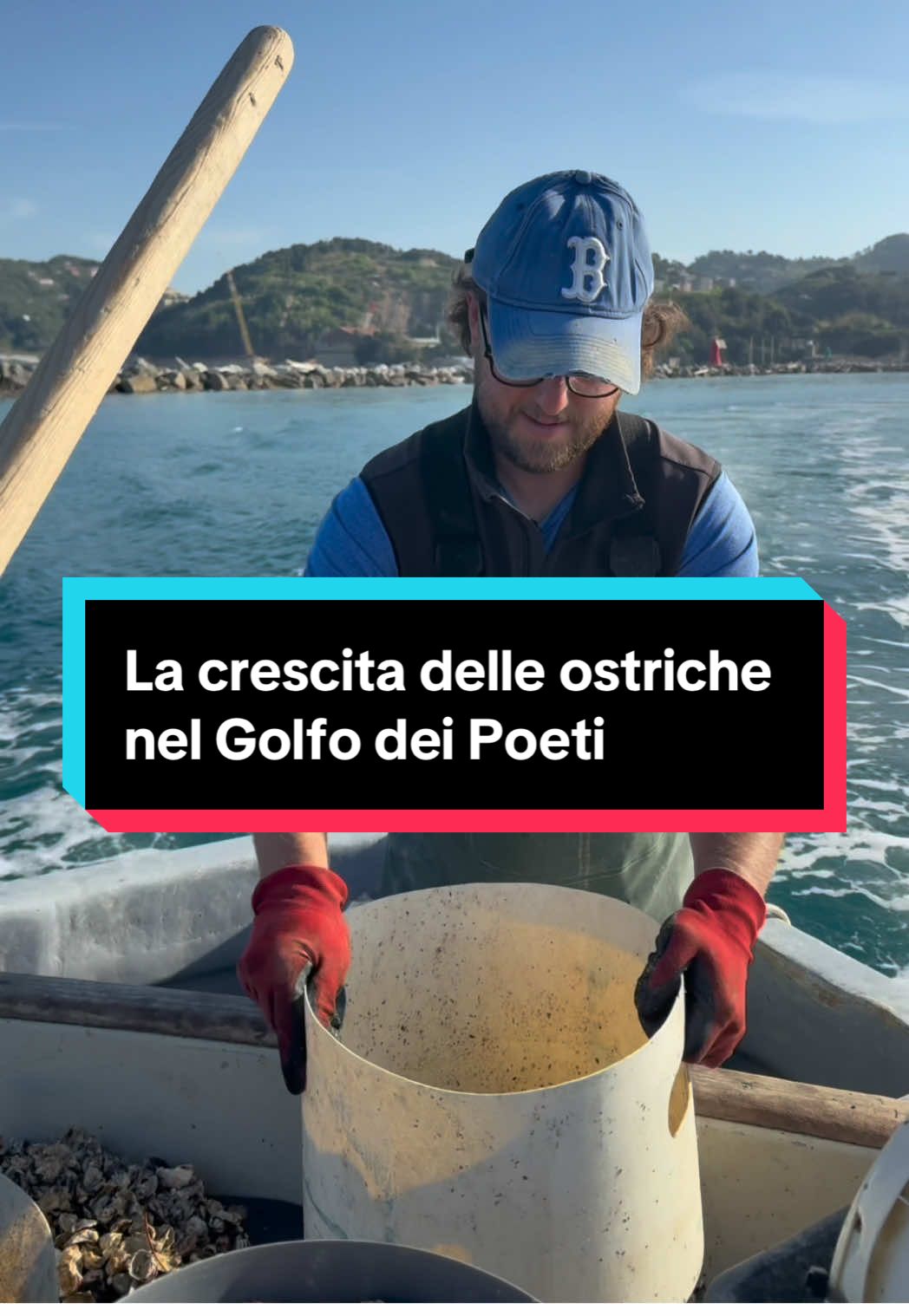 @Mitili&Mitili
