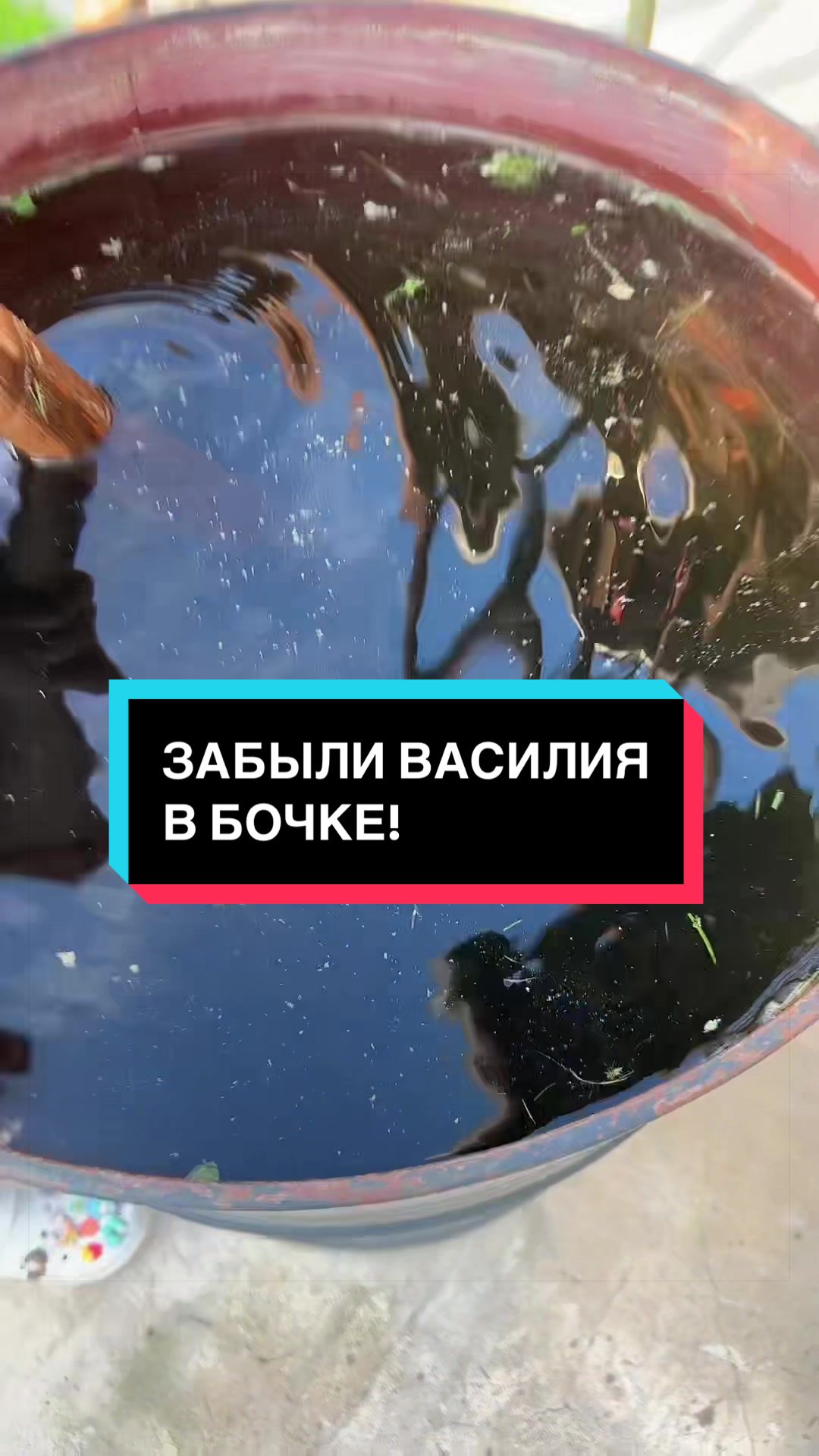 @МАШКА ГОРН
