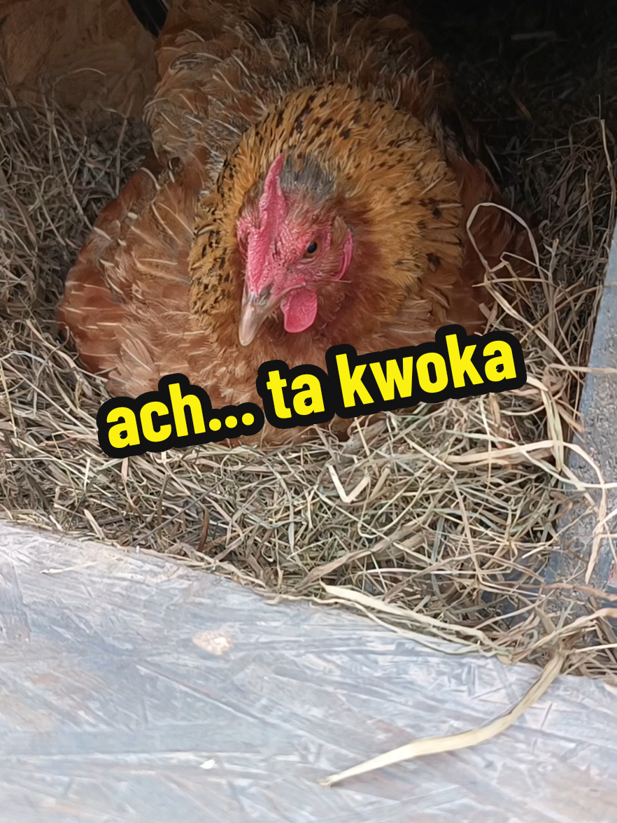 @Marcin ogrodnik