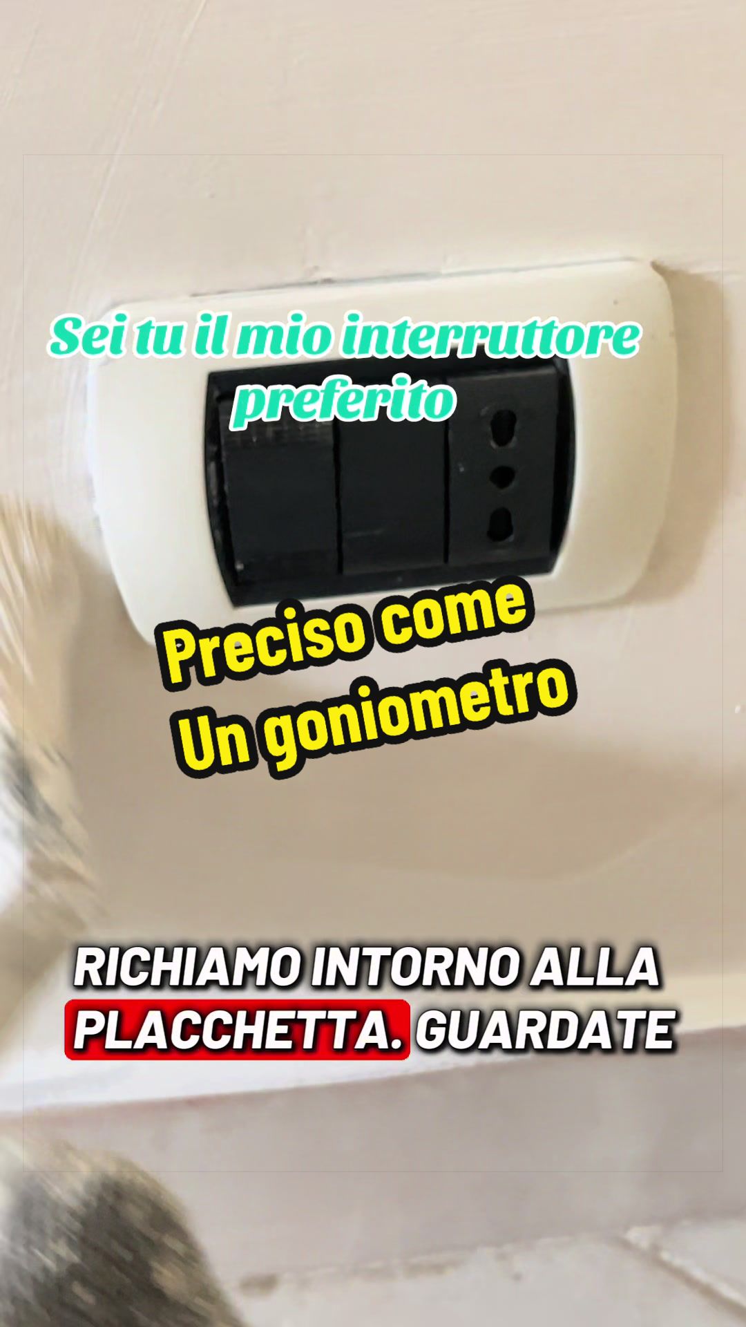 @Alessandro Cuomo ♌️