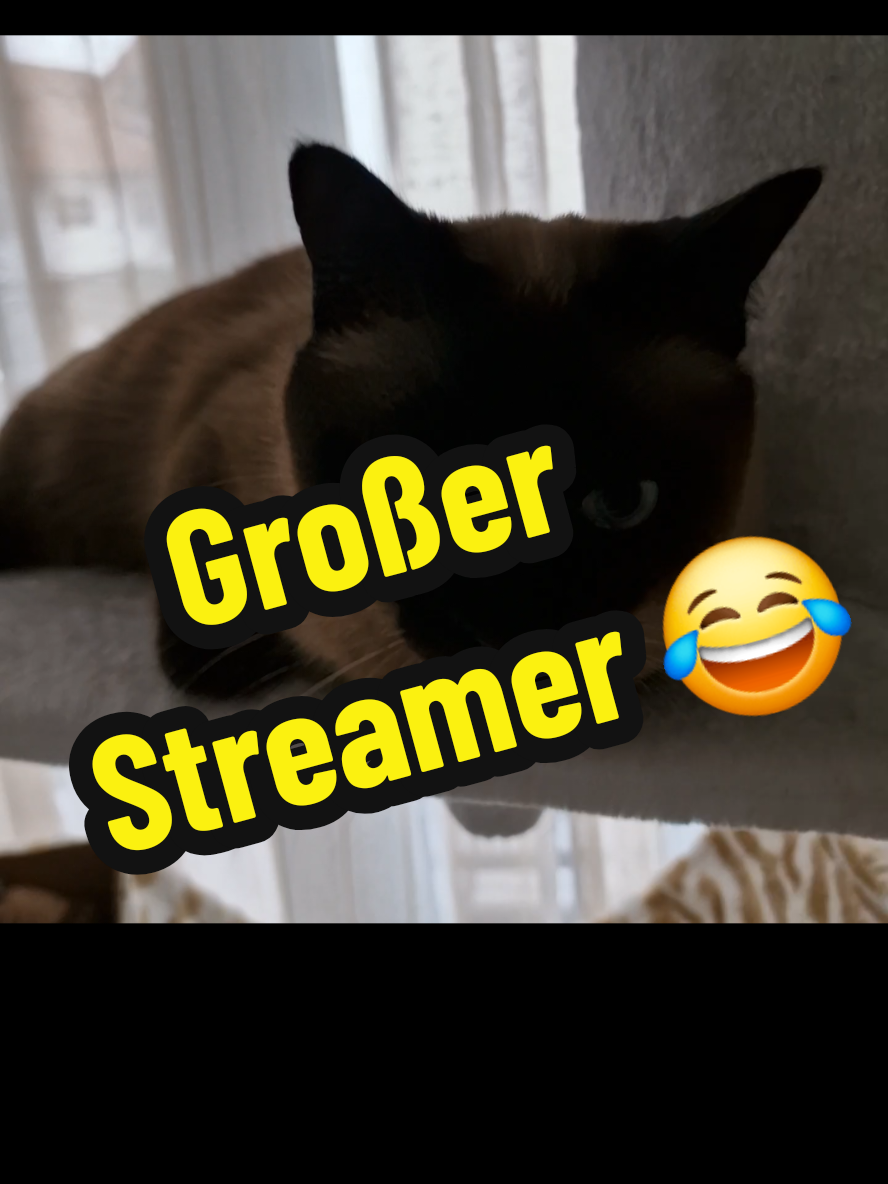 @gp
