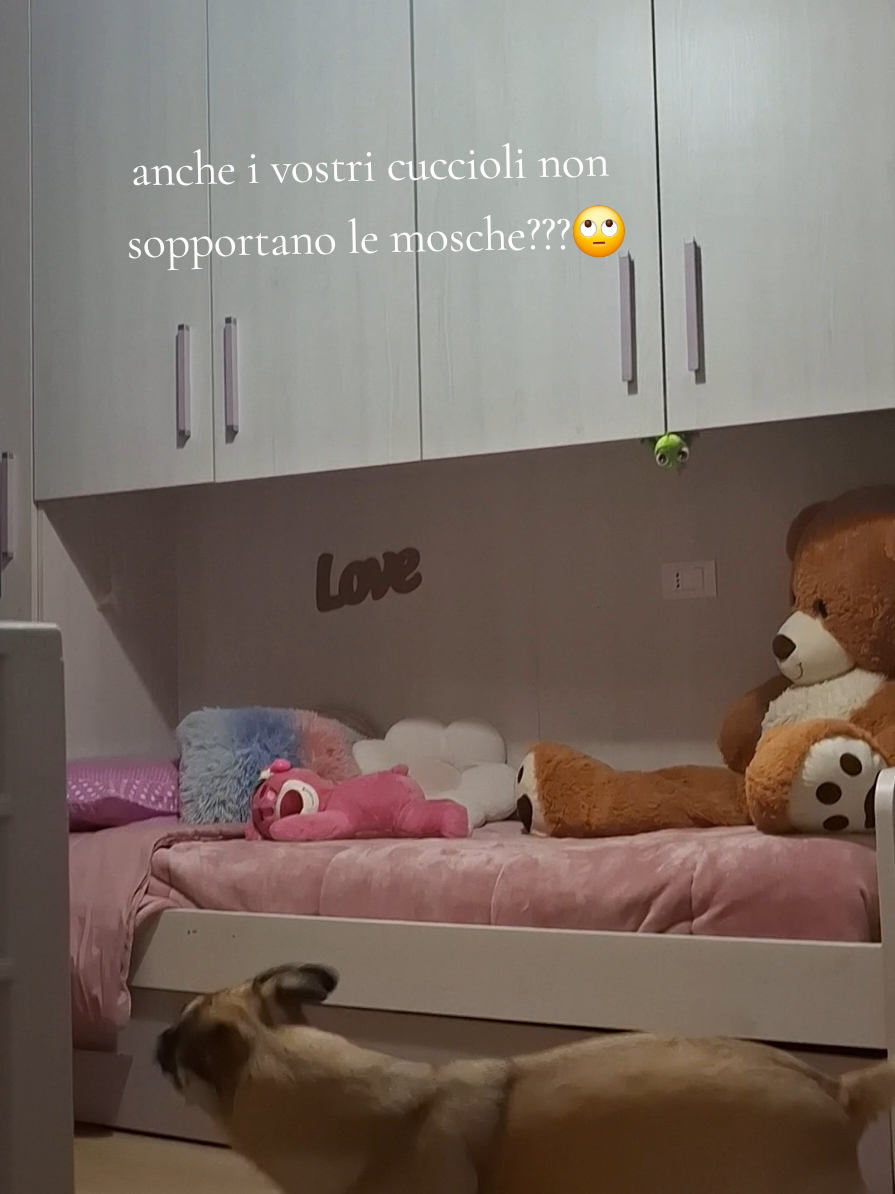 @Lisa San
