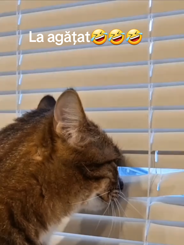 @Alina💞🕶