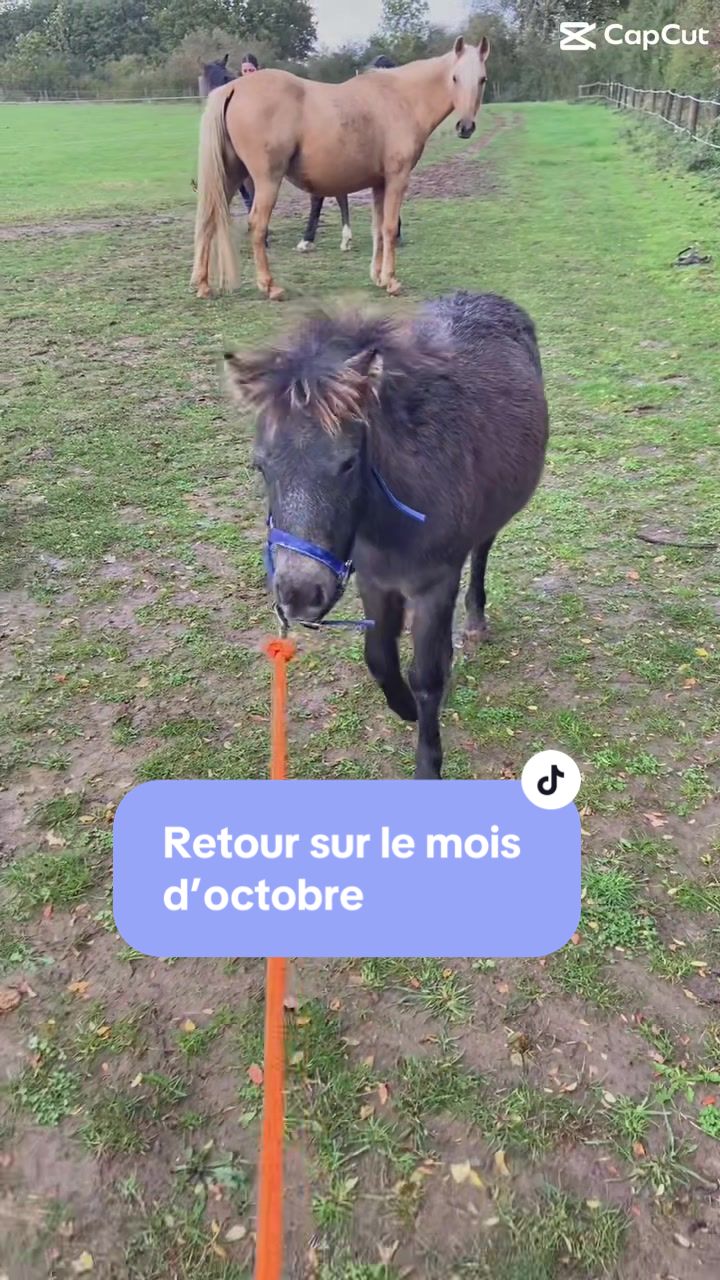 @rd_helo