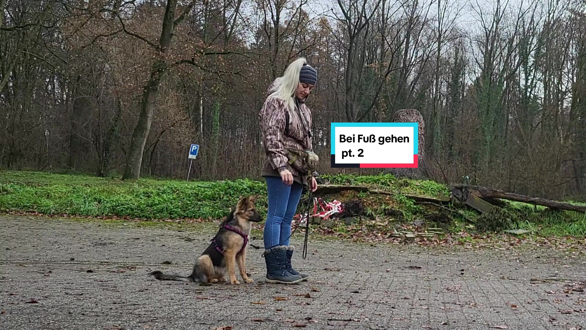 @Hundeschule Mit vier Pfoten
