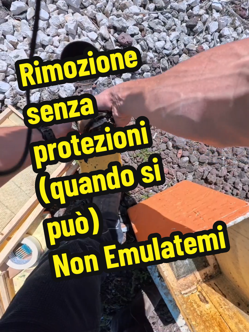 @Daniel Palmieri