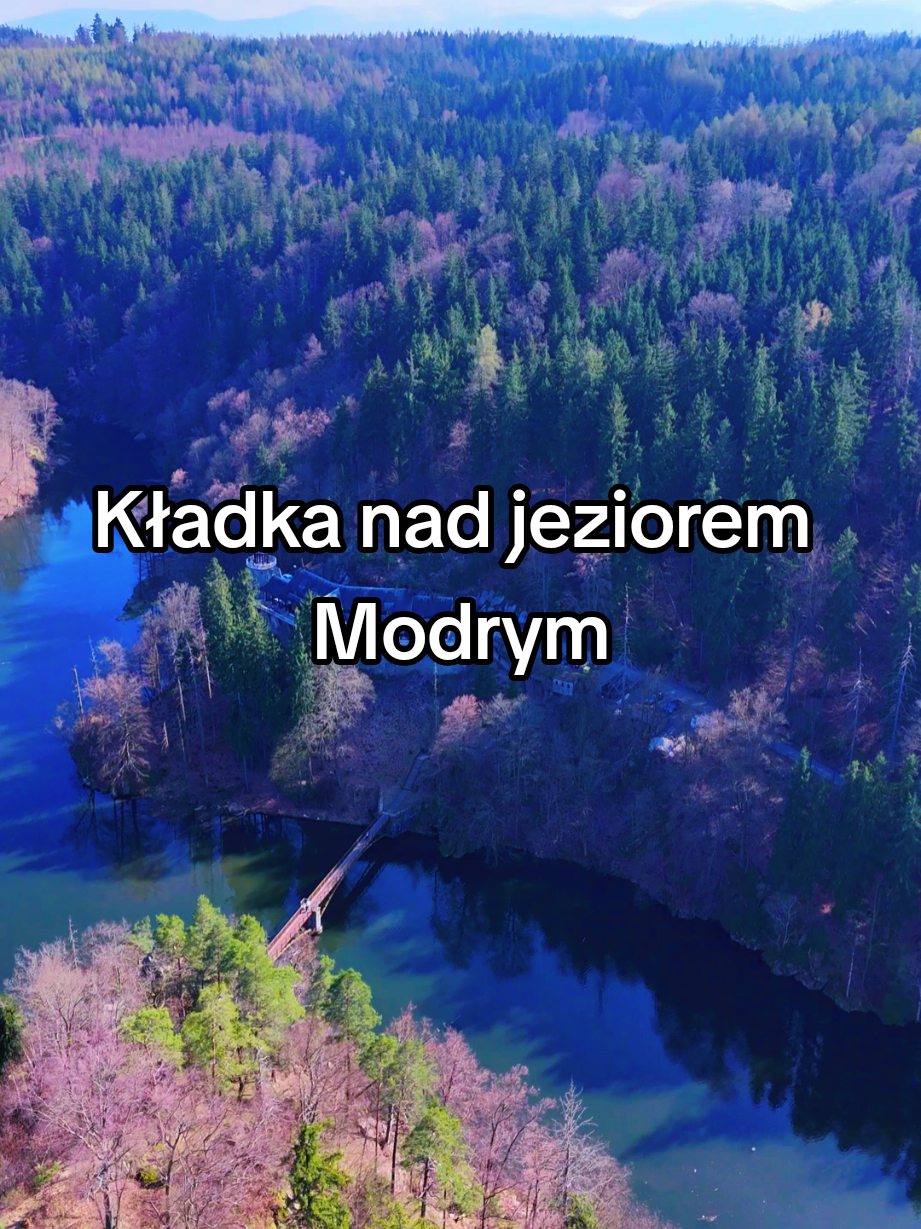 @🕊DJI🕊